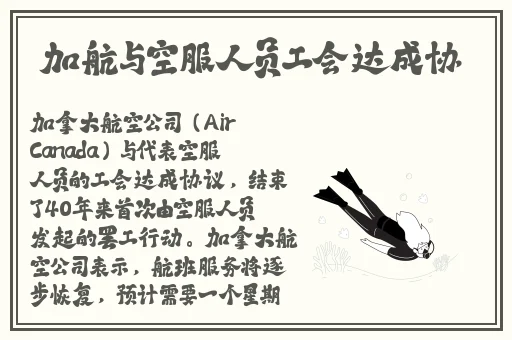 金门瓶4